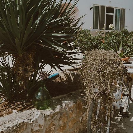 Agriturismo Azzarone Vieste Ngoại thất bức ảnh
