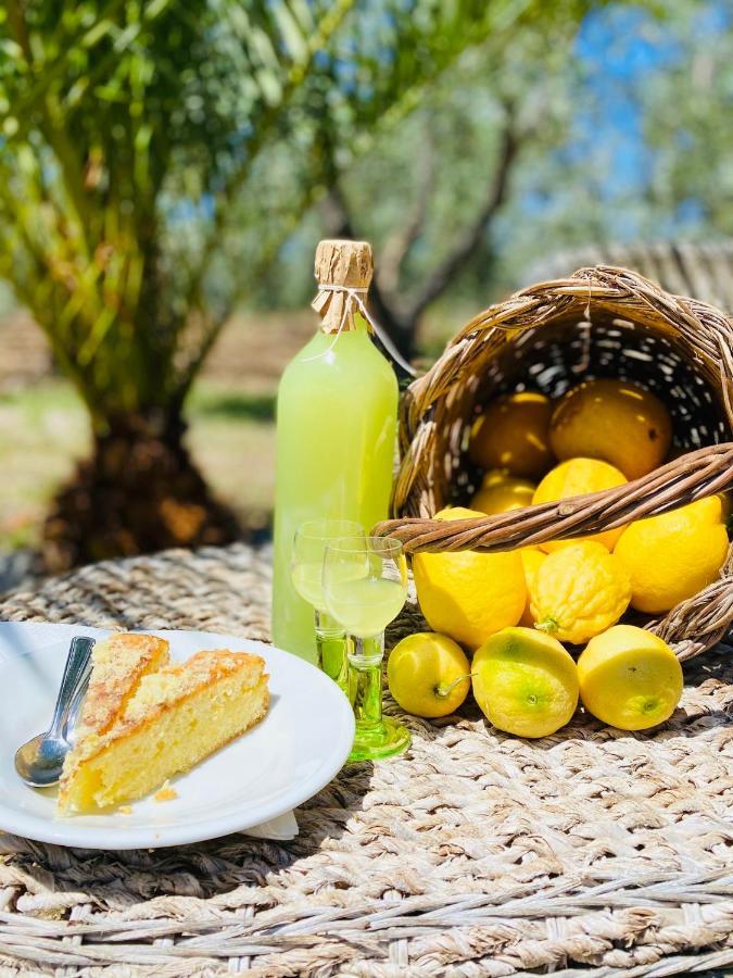 Agriturismo Azzarone Vieste Ngoại thất bức ảnh