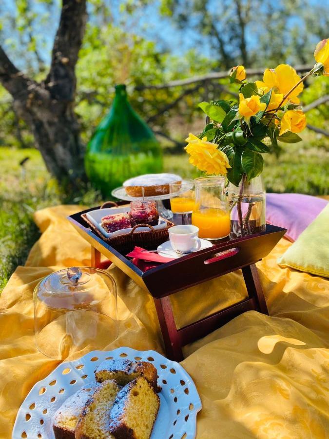 Agriturismo Azzarone Vieste Ngoại thất bức ảnh