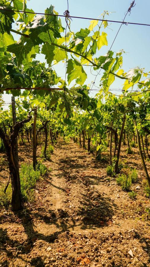 Agriturismo Azzarone Vieste Ngoại thất bức ảnh