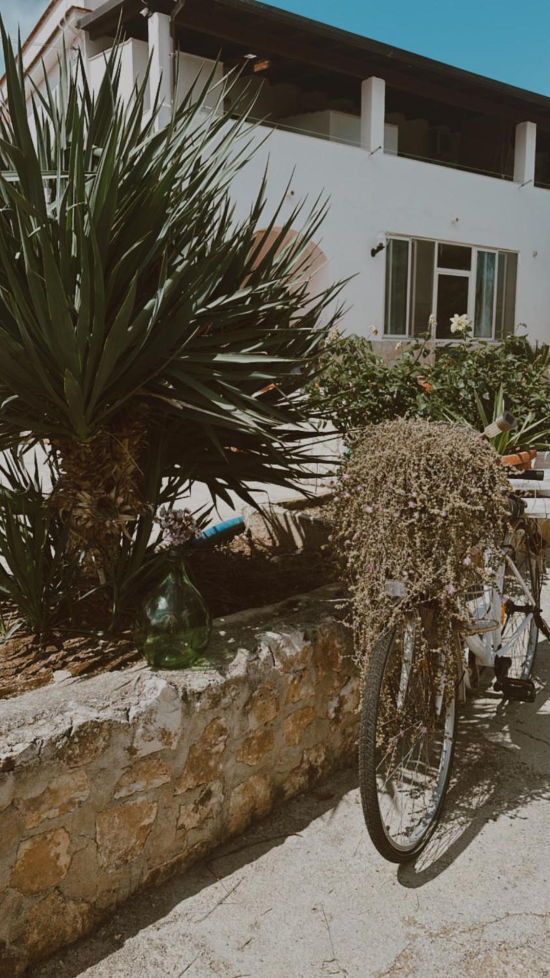Agriturismo Azzarone Vieste Ngoại thất bức ảnh
